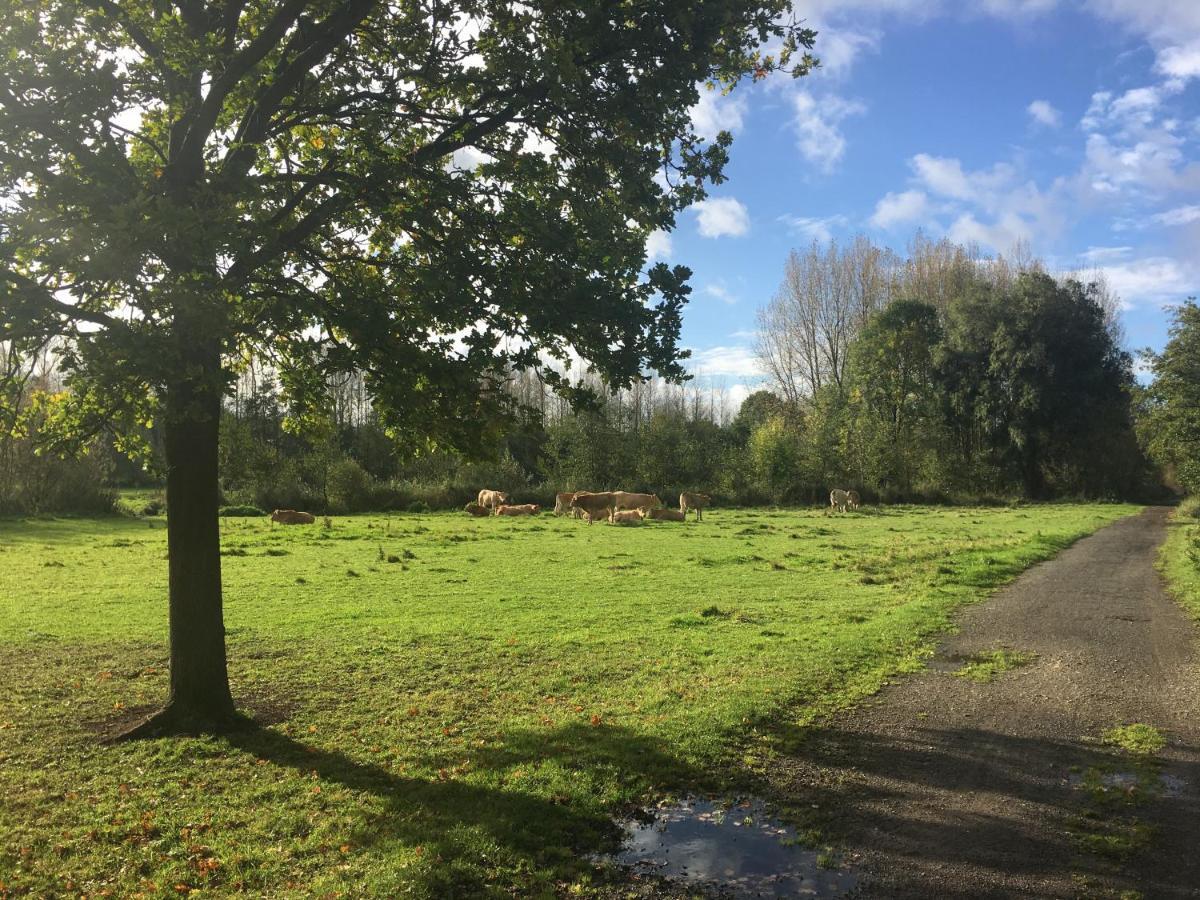 Scheldewegel Vakantiehuis Schelderode Buitenkant foto